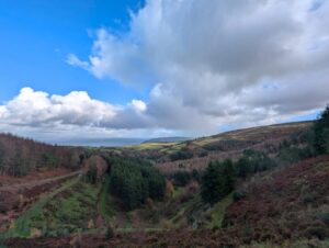 A view through a wooded valley with the sea in the distance