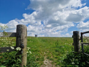 Two walkers in the distance reaching the brow of a hill with a gate post and gate in the foreground