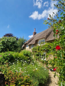 A Dorset thatched cottage with red roses around the gate.