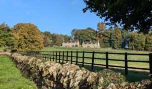 Dry stone wall with a fence behind it. A green field stretches out with Cotswolds cottages in the distance.