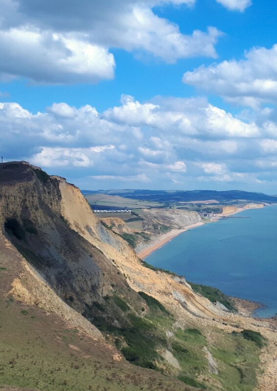 View of the Dorset coast from the top of a sea cliff. Blue sea to the right and the coast stretching off into the distance.