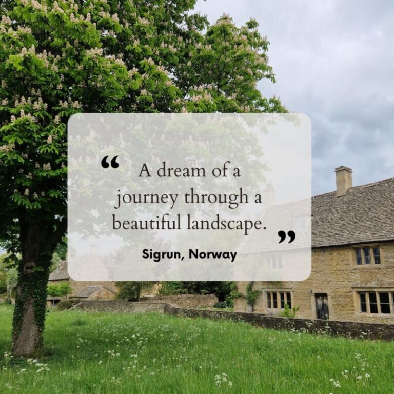 Guest testimonial reading: A dream of a journey through a beautiful landscape