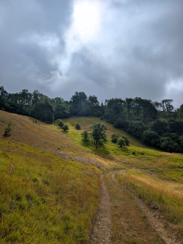 Footpath leading along the side of a valley
