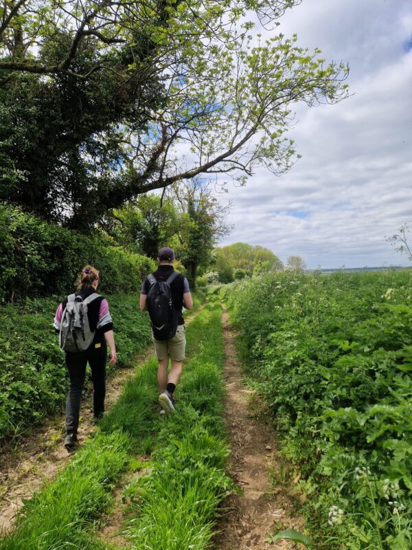 Two people walking along a footpath under trees