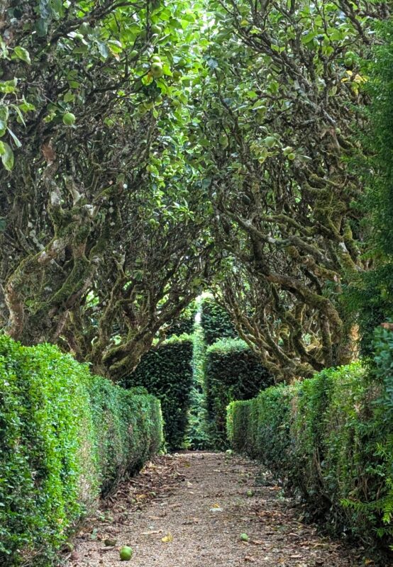 Tree-lined path in a grand country manor house garden