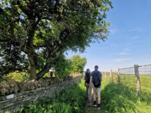 Two people walking along a footpath next to a drystone wall under trees