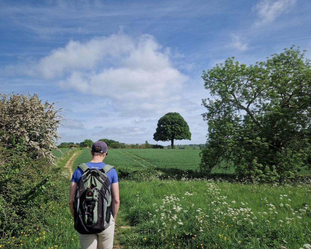 A person walking along a footpath in a field, deep in thought