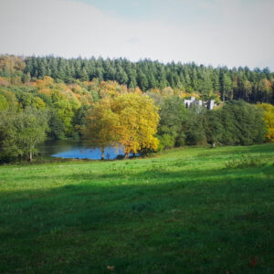 Autumnal trees around a lake with a green field in the foreground