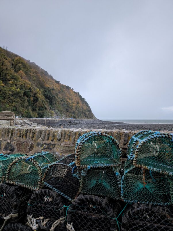 Photo of lobster pots stacked up against a sea wall, the sea in the background and wooded cliffs
