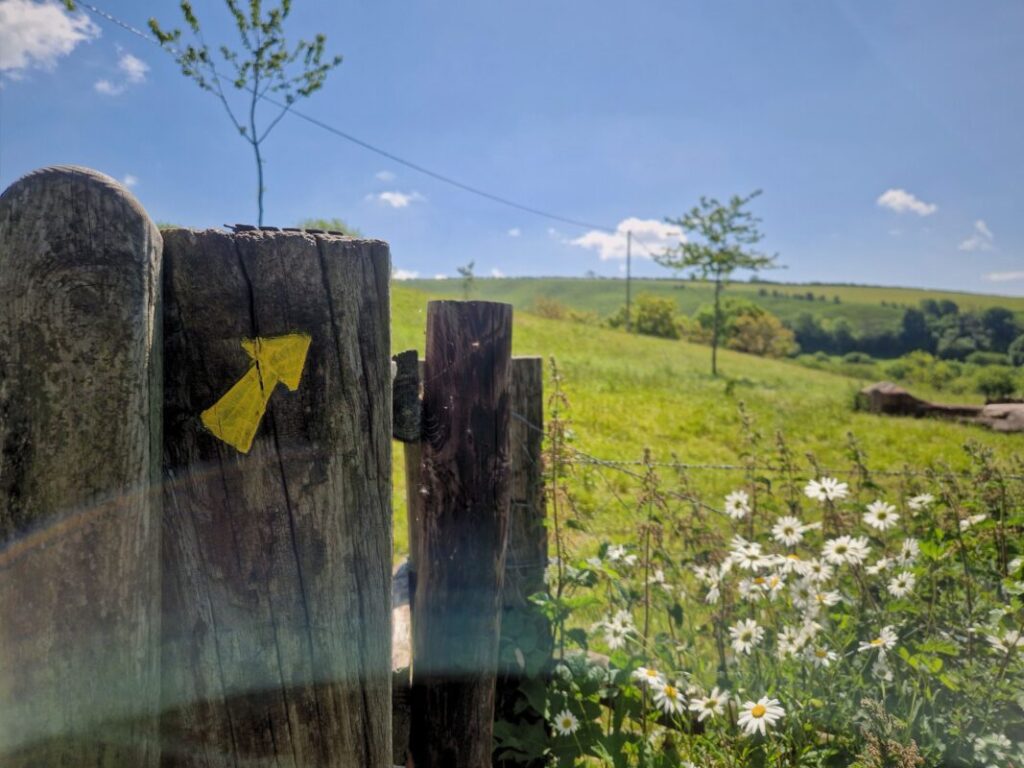 A yellow footpath arrow painted onto an old gate post with fields and daisies in the background