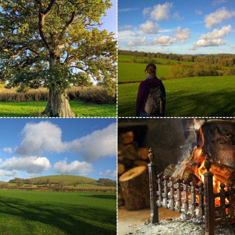 Montage of four photos showing the Wessex countryside in autumn
