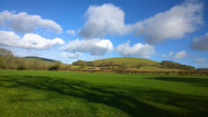 Rolling green landscape in autumn. Blue sky and white clouds. Bare trees and long shadows stretching over the fields