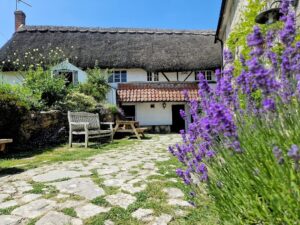 A traditional country inn with a thatched roof, chimney and lavender in the foreground