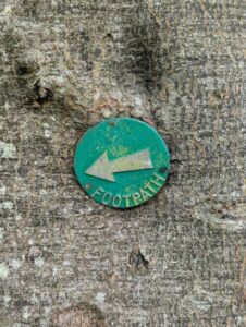Green footpath trail marker attached to a tree