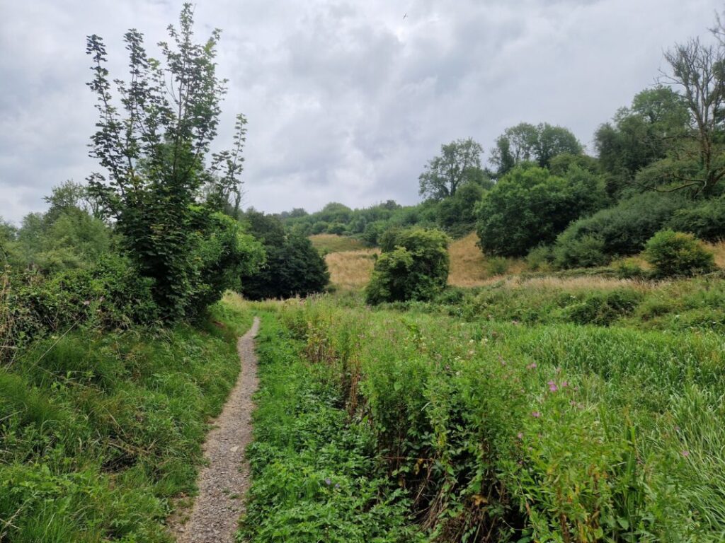 A footpath weaving its way between fields and hedges