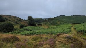 View of path winding its way through the dramatic Exmoor landscape