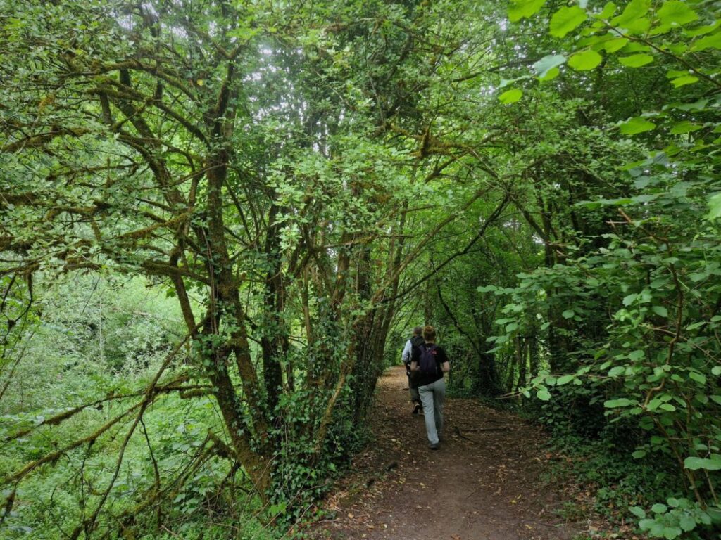Two people walk along an old towpath under trees