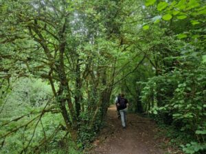 Two people walk along an old towpath under trees