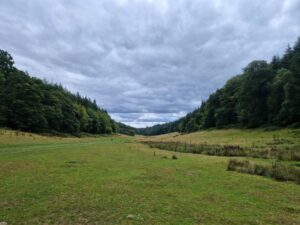 A wide valley lined with trees stretching off into the distance
