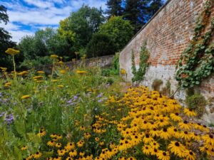 A walled garden with bright yellow flowers against an old red brick wall