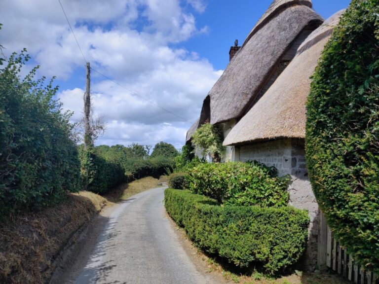 Traditional thatched cottages lining a quiet country lane