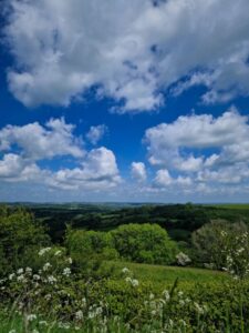 View over green rolling farmland, spring cowparsley in the foreground and white clouds overhead.