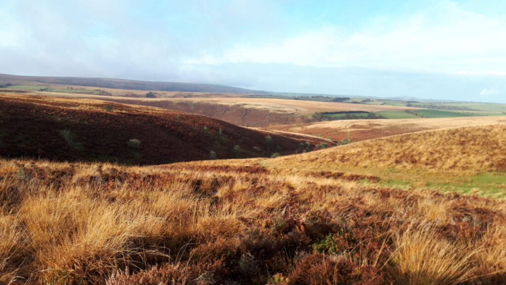 Exmoor moor, hiking with Foot Trails
