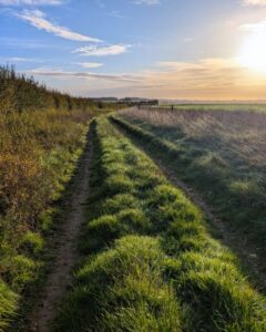 A grass footpath stretching off into the distance at sunset