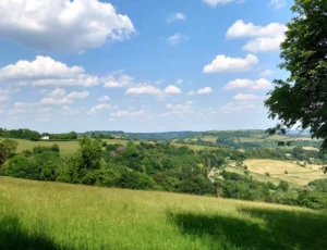 A view of the lush green countryside in South West England, with trees and patchworks of fields stretching out into the distance.