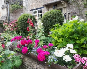 A traditional stone cottage with a cottage garden bursting with brightly coloured plants and flowers.