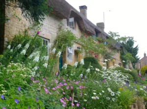A large, traditional thatched cottage with a profusion of bright flowers in front of it