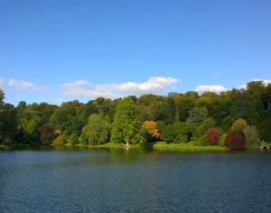 View of a lake with autumnal trees on its far side