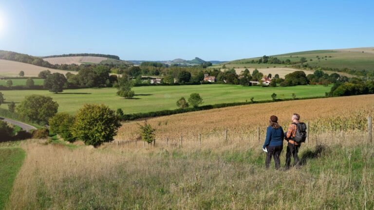 Photo of Alison & David Howell standing on a small hill, the countryside rolling away into the distance