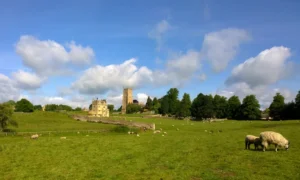 Scene showing a gran Cotswolds church and country house in the background. Fields stretch out in front of the buildings with sheep grazing.