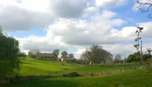 Green fields in the Cotswolds with a drystone wall running through and traditional stone cottages in the background.