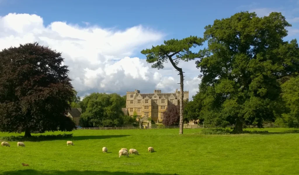 An impressive stately home in the Cotswolds. Taken from a distance the photo shows the house surrounded by trees and a wide green field at the front where a flock of sheep are grazing.