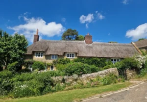 A beautiful thatched cottage in Dorset; the cottage garden is full of trees, shrubs and flowers. In front of the house is an old dry stone wall with a black metal gate.