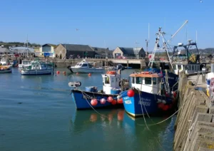 Two traditional sailing boats in a harbour. The harbour wall loops around the back of the boats and there are buildings in the background as well as yachts in the background to the left.