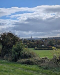 A view of the English countryside over fields and hedges, the spire of Salisbury Cathedral visible in the distance