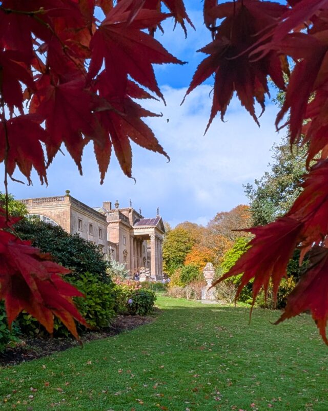 Photo of a grand country manor house in the distance with red autumnal leaves framing the front of the view.