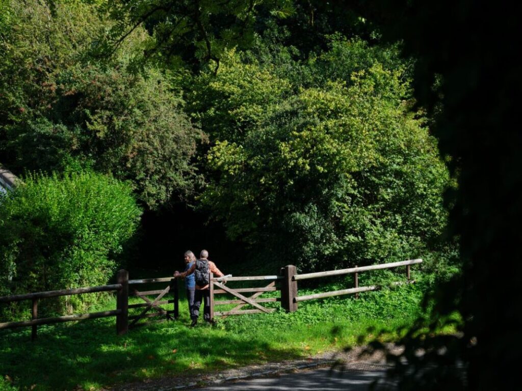 Two hikers walking through a wooden gate into trees.