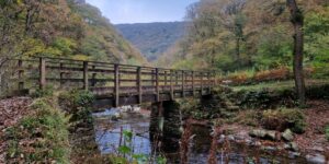 A footbridge over a river in a steep wooded valley.