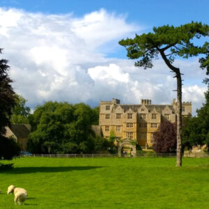 A grand country house in the Cotswolds with sheep grazing in the foreground
