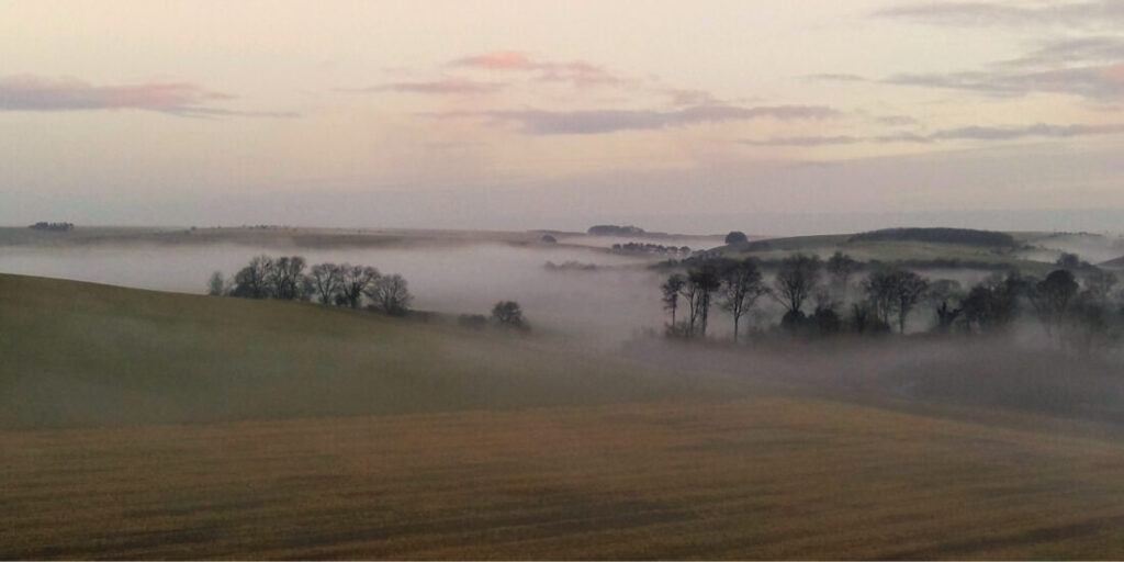 A winter's landscape with fields stretching off into the distance and trees looming out of a low winter mist.