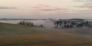 A winter's landscape with fields stretching off into the distance and trees looming out of a low winter mist.
