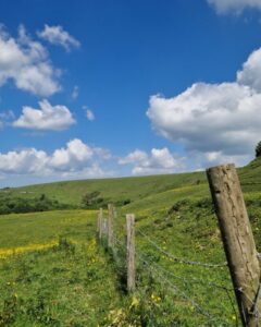 Green field stretching off into the distance together with wooden fenceposts and barbed wire