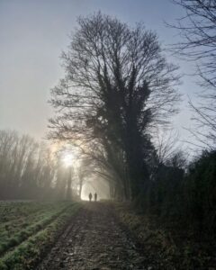 Two walkers on a footpath in the distance framed by a large tree on a misty winter morning.