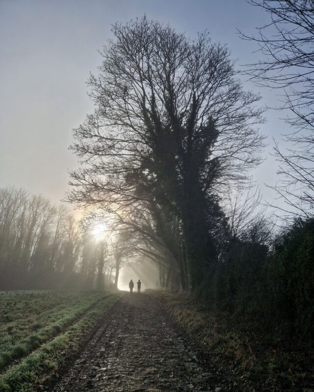 Two walkers on a footpath in the distance framed by a large tree on a misty winter morning.