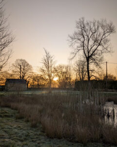 View of the sun rising over a village pond, with a barn and leafless trees silhouetted by the sun.