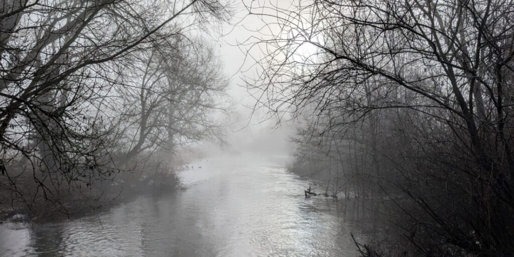 Phot of a river with overhanging trees on a misty winter's morning